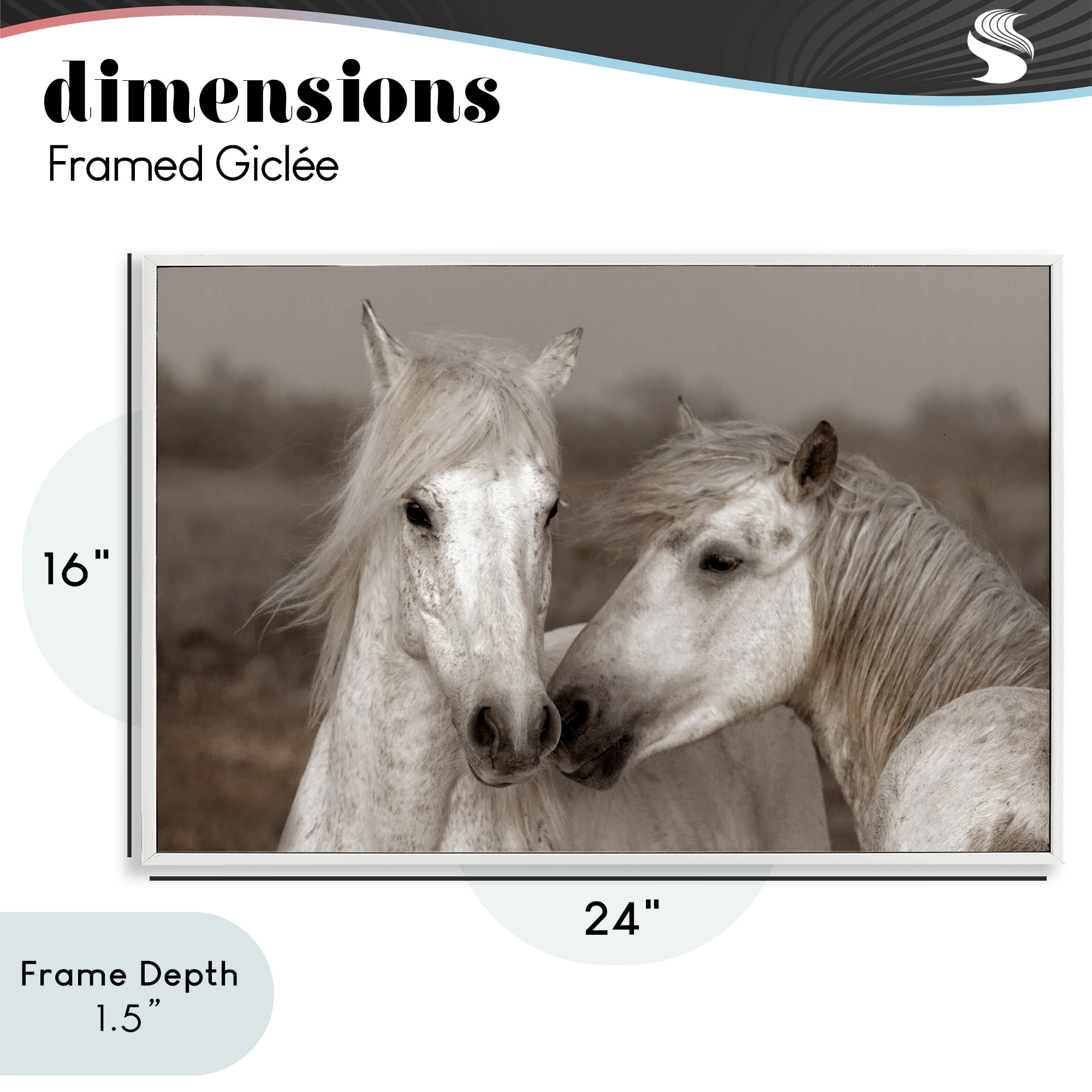 Stupell Industries Gentle Companionship Horses White Framed Giclee Art, design by Danita Delimont
