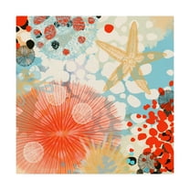Trademark Fine Art 'Exotic Sea Life II' Canvas Art by Irena Orlov