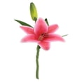 thumbnail image 3 of Artificial Single Stem Lily Hot Pink 35cm for Indoor Outdoor Home Garden Vase Decoration, 3 of 9