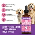 thumbnail image 4 of Premium Liquid Collagen For Dogs - 5x Collagen Types I, II, II, V & X - Support For Joints, Skin, Coat, Bone, Immune System & Hips - Collagen Supplement With Hyaluronic Acid - Made In USA - 4oz, 4 of 7