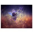 thumbnail image 2 of Design Art - Papillon Vintage, 2 of 4