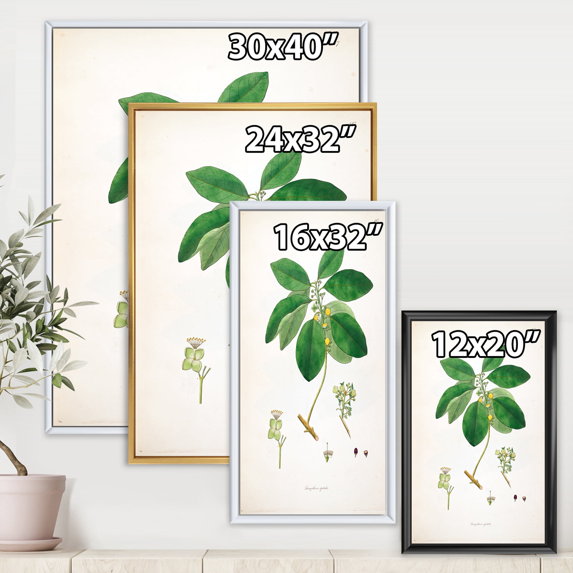 Ancient Botanicals V 16 in x 32 in Framed Painting Canvas Art Print, by Designart