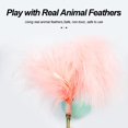 thumbnail image 2 of Juguete de plumas para gatos Juguete para gatos Bola de vaso de 360°, con plumas de colores y cascabeles para atraer la atención de tu gato Juguete novedoso, 2 of 5