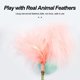 thumbnail image 2 of Juguete de plumas para gatos Juguete para gatos Bola de vaso de 360°, con plumas de colores y cascabeles para atraer la atención de tu gato Juguete novedoso, 2 of 5
