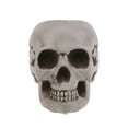thumbnail image 1 of Calavera artificial de Halloween, adorno de calavera asustada, accesorios para casa de fantasmas, suministros para fiestas (3), 1 of 7