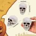 Pub Table Prop 8PCS Halloween Skull Heads Decor,Plastic Human Skeleton Skulls Head ...