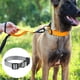 thumbnail image 3 of Collar para perros impermeable, nailon recubierto de secado rápido e inodoro para facilitar la limpieza de la playa y la natación, 3 of 5