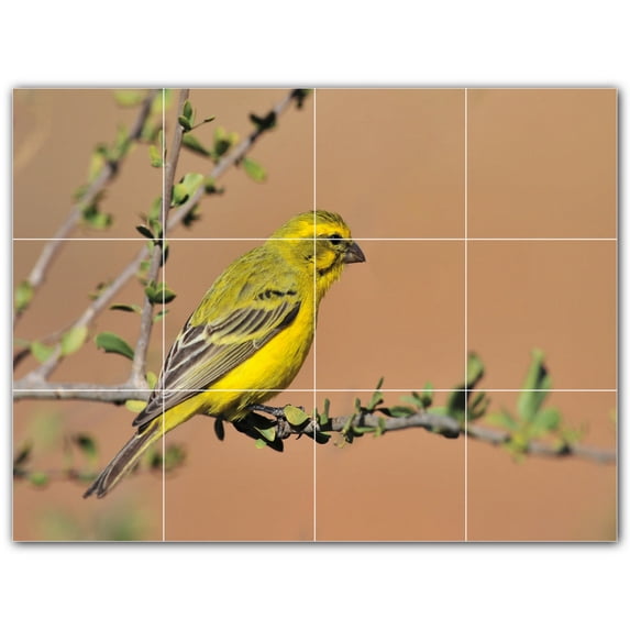 Picture-Tiles.com: Bird Ceramic Tile Wall Mural WAL500186-43XL. 48"W x 36"H using (12) 12" x 12" Ceramic Tiles-Satin Finish