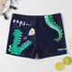 thumbnail image 1 of Traje de baño para niños, bañador infantil estampado, shorts de baño, bañador de ángulo plano con pantalones y cordón., 1 of 5