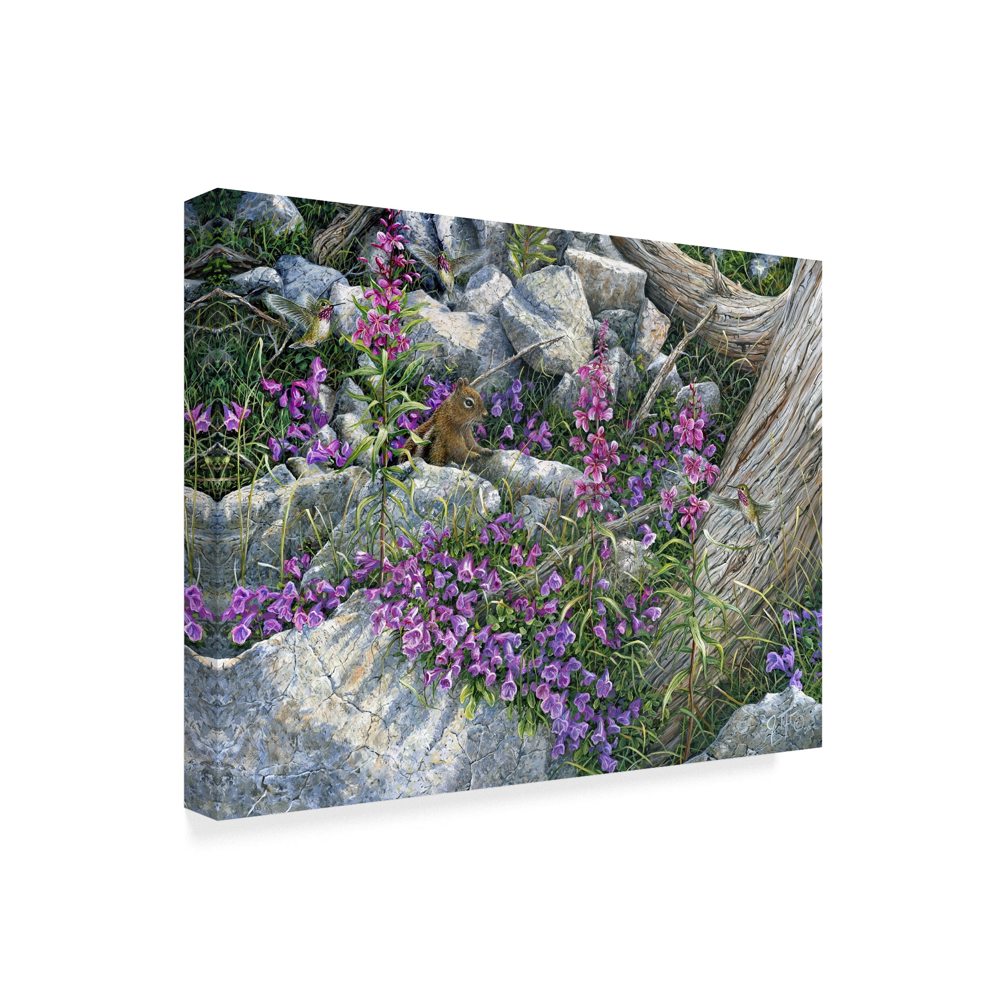Trademark Fine Art 'Squirrel Painting' Canvas Art by Jeff Tift