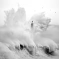 thumbnail image 3 of Cano, Marina 15x15 Black Modern Framed Museum Art Print Titled - Birds in the Storm, 3 of 5