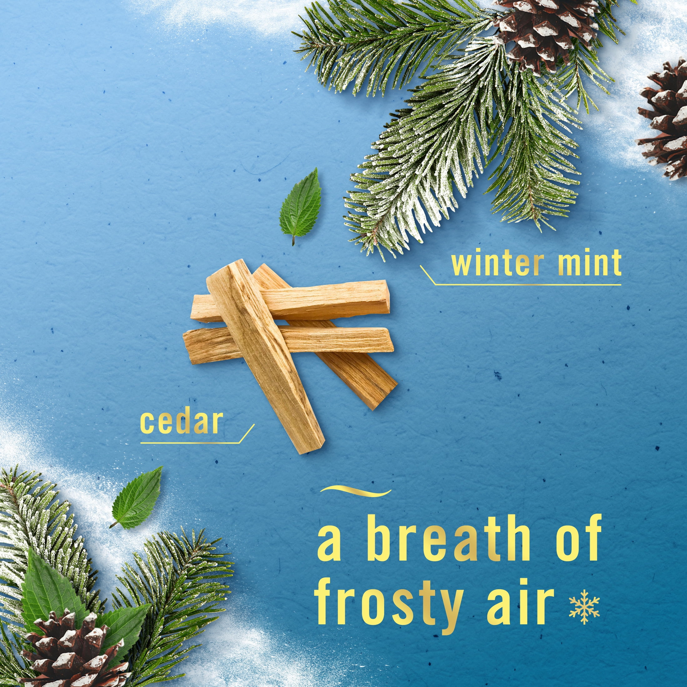 (2 pack) Febreze Plug In Air Freshener, Odor-Fighting Scented Oil Refill, Premium Holiday Mix, 3 Refill