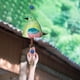 thumbnail image 3 of Campana de viento Ndcxsfigh de pájaro lindo, 3 of 8
