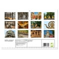 thumbnail image 2 of Buddha - moments of inner contemplation (Monthly Wall Calendar 2026 16.5 x 23.4 (open)), CALVENDO 14 Month Calendar, 2 of 9