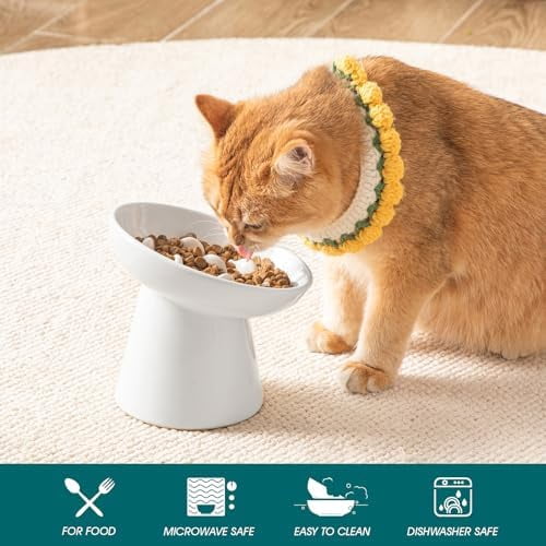 Ceramic Slow Feeder Cat Bowl, 6.25 Inch Elevated Cat Slow Feeder Bowl, Anti Vomiting for Dry and Wet Food, White