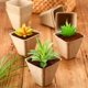 thumbnail image 5 of Nvzi Paquete de 100 macetas de turba cuadradas de 2,4 pulgadas para plántulas,macetas para trasplantar al aire libre para cultivar flores y vegetales, germinación de 4 agujeros, 5 of 5
