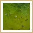thumbnail image 2 of Marmont Hill "Green Water II" by Karolis Janulis Framed Painting Print, 2 of 6