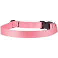 thumbnail image 2 of Collar ajustable para perros LupinePet Basics, rosa, 16-28 pulgadas, 2 of 2