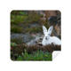 Lapins Blancs Science Nature Paysages Lunettes Tissu Écran Nettoyant Tissu en Daim 2 Pack – image 1 sur 2