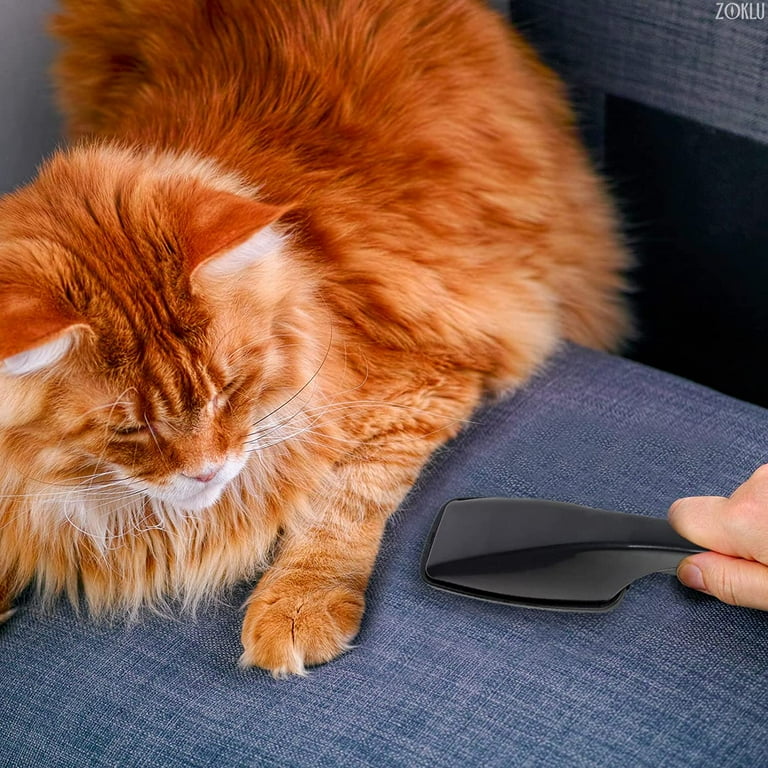 Magic brush cat hair sales