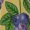 NZ028, variant on Blueberries Pattern Dress Fashion Boho Beach Long Dresses Female Party Printed Maxi Dress