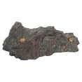 thumbnail image 2 of Dinosaur Simulated Landscape Model Scenes with Diverse Animals and Plants Models for Parent Child Interaction, 2 of 8