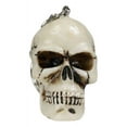 thumbnail image 6 of Pack of 12 Novelty Bone Colored Jointed Homosapien Cranium Skulls Keychains, 6 of 10
