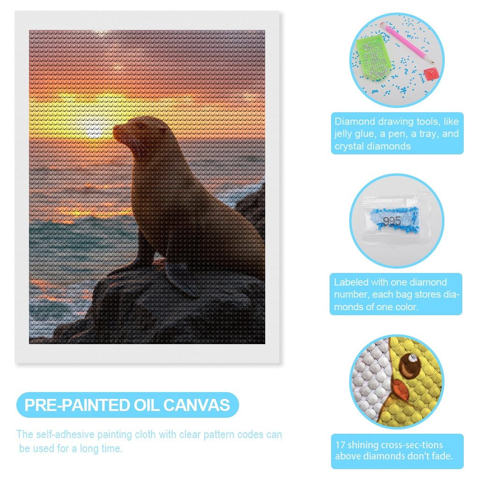 Diamond Art Kits for Adults, Sea Lion Sunset Rock Scene 5D Diamond Painting Kits for Adults Beginners, DIY Full Drill Diamond Painting, Gem Art and Crafts 12x16