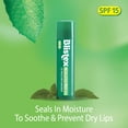 thumbnail image 3 of Bálsamo labial Blistex Medication Mint, 4,4 ml (paquete de 24), SPF 15, 3 of 6