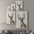 thumbnail image 4 of Handsome Whitetail I Premium Gallery Wrapped Canvas - Ready to Hang, 4 of 9