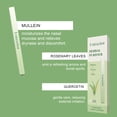 thumbnail image 2 of Herbal Diffuser Stick Lumzist con Mullein, Tomillo y Menta, 2 of 6