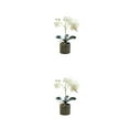 thumbnail image 1 of Naiovety Bonsái de flor de orquídea artificial, maceta de Phalaenopsis en maceta, decoración de jardín para el hogar, planta falsa de Color Blanco 2Conjunto, 1 of 6
