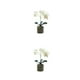thumbnail image 1 of Flor de orquídea artificial Bonsái Matsuzay con maceta Phalaenopsis en maceta Inicio, 1 of 6