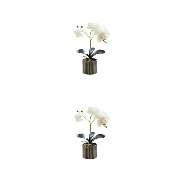 Orquídea Artificial Advancent Bonsái en Maceta Simulación Phalaenopsis Color Blanco 2Conjunto