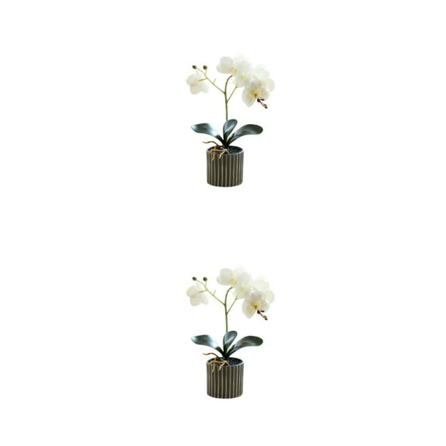 Bearachild Flor de orquídea artificial bonsái maceta Phalaenopsis maceta decoración del hogar Color brillante estatuilla falsa interior blanco Blanco 2Conjunto