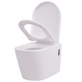 Wall mounted toilet ceramic white?