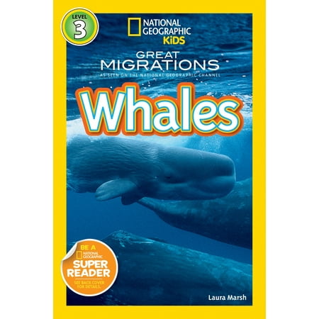 Whales (Paperback) (Best Time To See Beluga Whales In Cook Inlet)