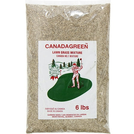 Canada Green Grass Lawn Seed - 6 Pound Bag (Best Time To Sow Grass Seed In Kentucky)