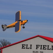 Hangar 9 Carbon Cub 15cc ARF HAN5065 Airplanes ARF Giant