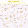 thumbnail image 5 of 100Pcs Stainless Steel French Earring Hooks Golden Color Fish Hooks Earrings with Jump Ring Earring Making and Ear Nut Earring Finding Kit for DIY Jewelry Making DIY, 5 of 7