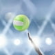 thumbnail image 1 of Voleibol Indoor Outdoor Volleyball Competición Práctica Oficial Verde Cola Pelota de Voleibol, 1 of 8