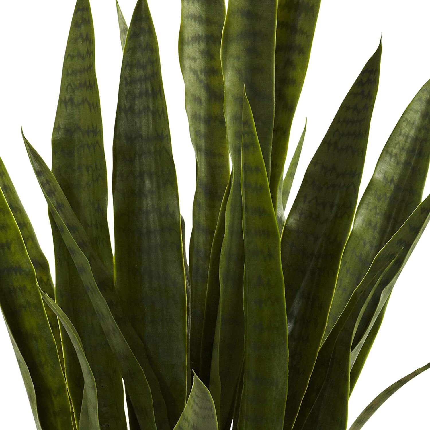 Green Nearly Natural 4855 Sansevieria Plant with Black Planter