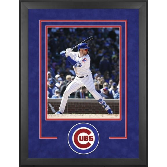 Chicago Cubs Deluxe 16" x 20" Vertical Photograph Frame