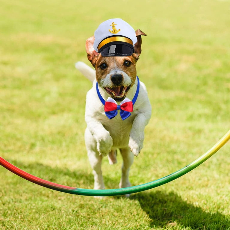 Sailor Captain Hat Party City