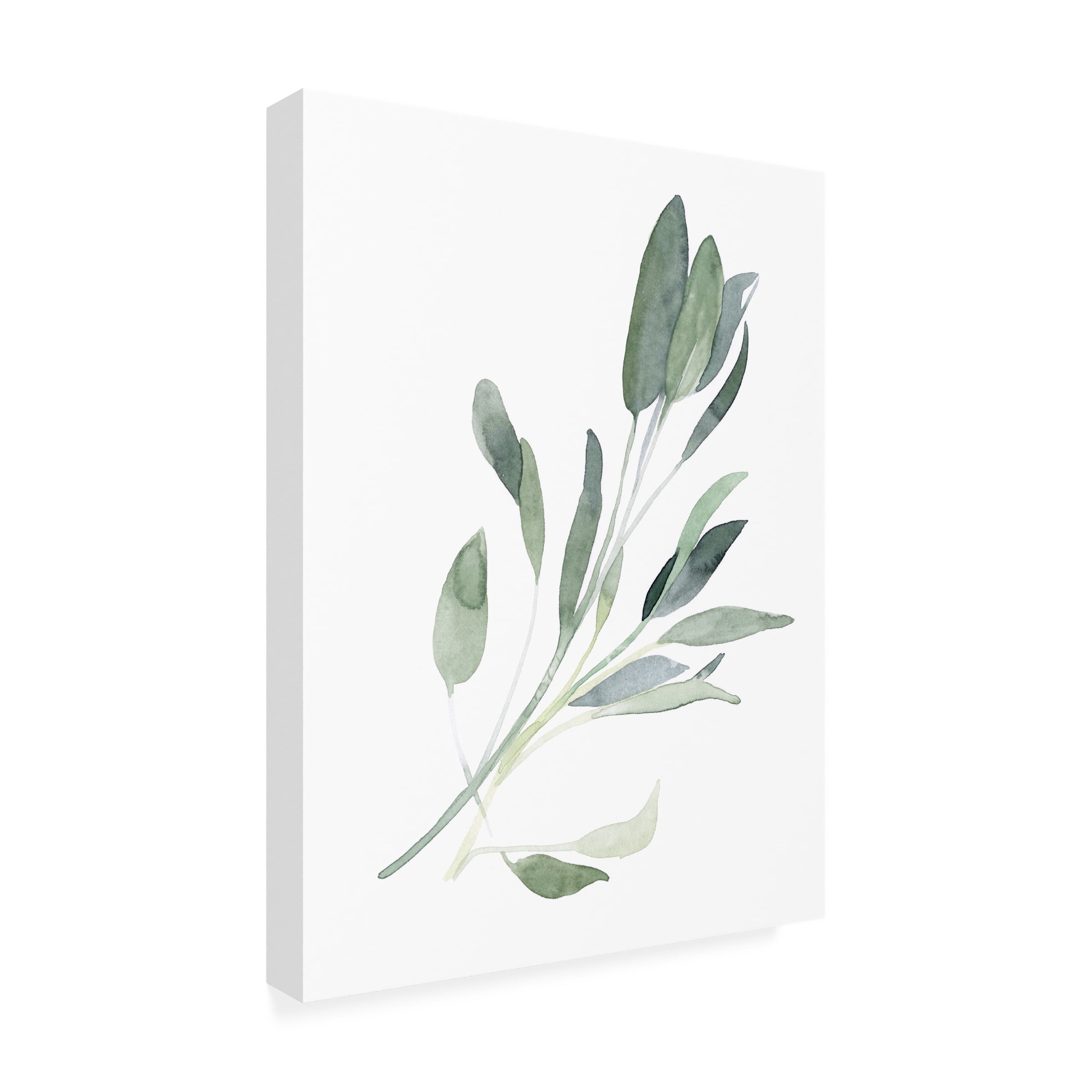 Emma Scarvey 'Simple Sage I' Canvas Art
