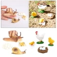 thumbnail image 1 of 2 juegos de estatua de crecimiento de de caracol de de , juguetes de biología de aprendizaje para perfke Juego de crecimiento de insectos para niños, 1 of 9