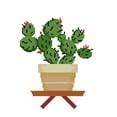 thumbnail image 1 of Wdftyju 14CT punto de cruz parcial Cactus estampado DIY Kits de bordado hilo de algodón artesanía Wdftyju 6yh6jn8fx6hn1st6, 1 of 9