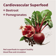 thumbnail image 5 of Snap supplements Heart Beets Gummies (Sugar Free) 60ct, 5 of 5
