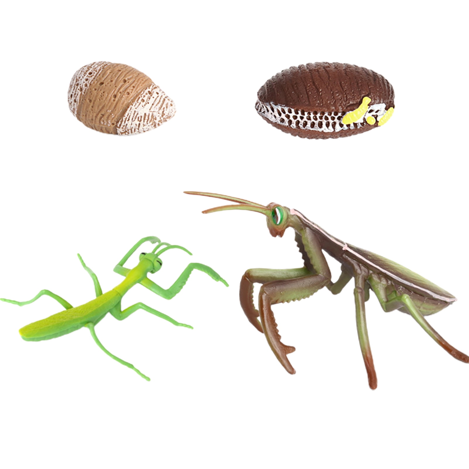 Realistic Insect Educational Model Mantis Figurine Kids Toy Christmas Gift Decor 