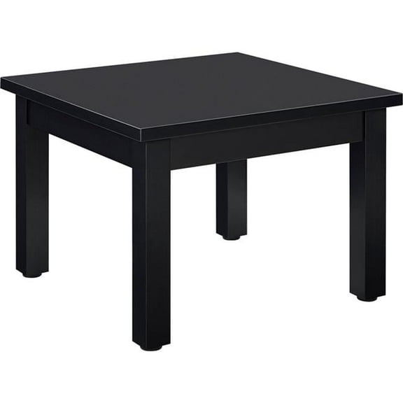 24 x 24 in. Interion Wood End Table - Black